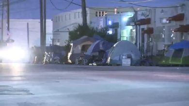 Campamento de indigentes cerca de Hialeah. (Captura de pantalla © WPLG Local 10-YouTube)