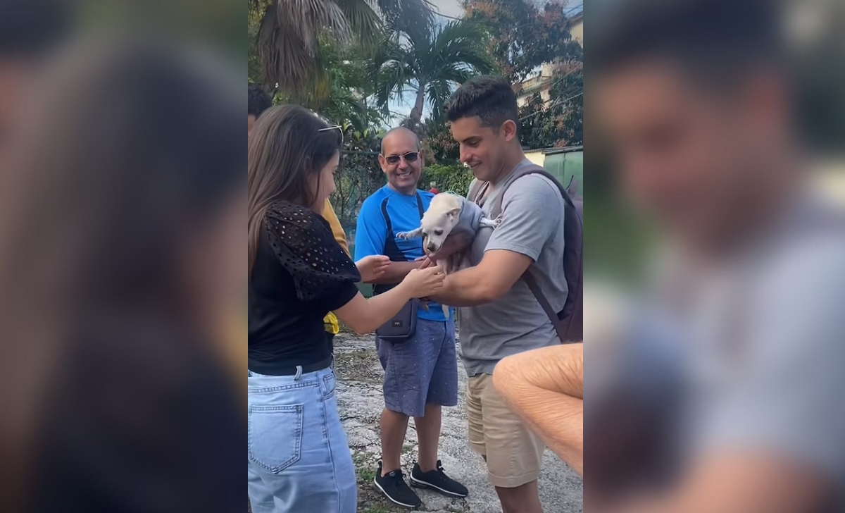 Familia cubana logra reunirse con su mascota tras dos años en EEUU. (Captura de pantalla © Dayana Viamontes-Facebook)