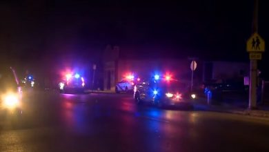 Imagen ilustrativa de patrullas de policía en Louisville. (Captura de pantalla © WLKY News Louisville-YouTube)