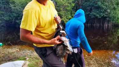 Imagen ilustrativa de un viaje de pesca en Cuba. (Captura de pantalla © Viajes Pesca Mosca-YouTube)