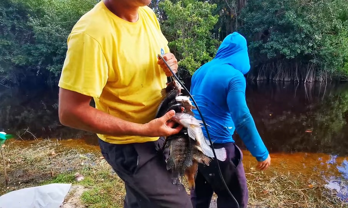 Imagen ilustrativa de un viaje de pesca en Cuba. (Captura de pantalla © Viajes Pesca Mosca-YouTube)