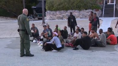 Un grupo de 23 balseros cubanos logró tocar tierra en Florida. (Captura de pantalla © WPLG Local 10-YouTube)