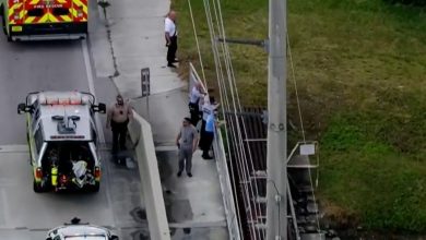 El cuerpo fue hallado durante el lunes 4 de marzo. (Captura de pantalla © CBS Miami-YouTube)