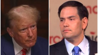 El cubanoamericano está siendo considerado como potencial vicepresidente para la campaña de Trump. (Captura de pantalla © NBC News-YouTube C-SPAN-YouTube)