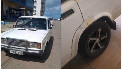 Varias fotografías compartidas en línea muestran sus características. (Foto © María Antonieta Fernández-Facebook)