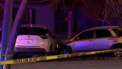 Dos personas perdieron la vida tras accidente de tránsito en Hialeah. (Captura de pantalla © Telemundo 51 Miami-YouTube)