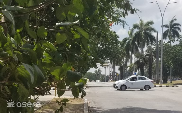 Arrestan a un hombre acusado de feminicidio en Matanzas