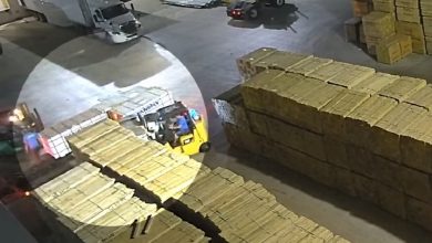 Cubanos arrestados por robo de materiales. (Captura de pantalla © AmericaTeVe Miami-YouTube)