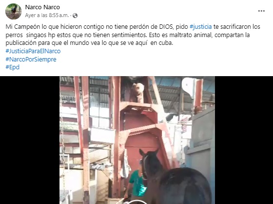 The owner of the animal shared his complaint on social networks. (Screenshot © Narco Narco-Facebook)