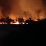 Imagen ilustrativa de un incendio en la zona de Ciénega de Zapata. (Captura de pantalla © Lazarito Alonso periodista-YouTube)
