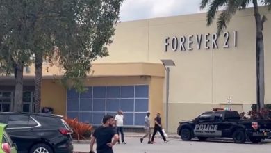 Miami-Dade: falsos reportes de tiroteo generan pánico en Dolphin Mall. (Captura de pantalla © altamic73-Twitter)