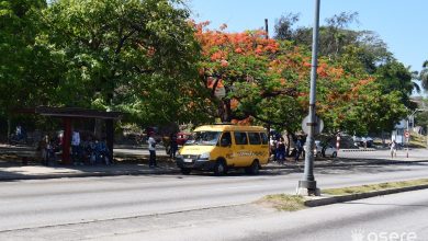 Servicio de taxi en la capital. (Foto © Asere Noticias)
