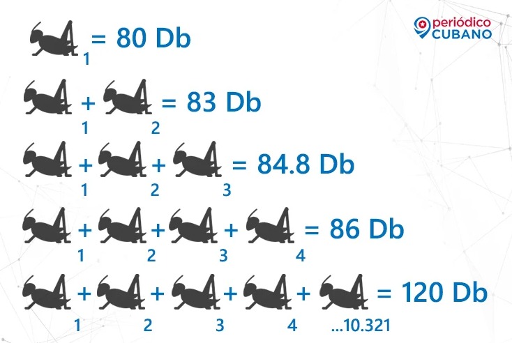 Simulación de suma de grillos y los dB que producen. ( Foto © Periódico Cubano)