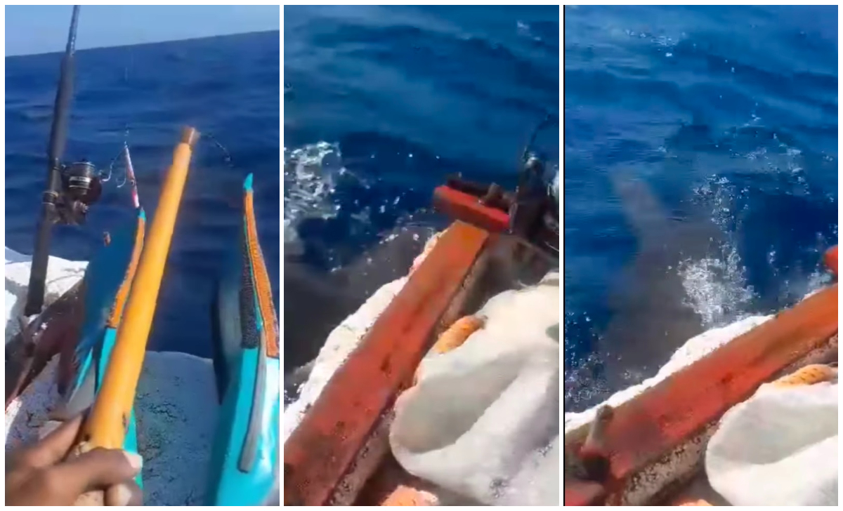 ¡Mira eso, Asere!: tiburón martillo muerde la balsa de unos pescadores cubanos. (Captura de pantalla © Pesca en Miami-Facebook)