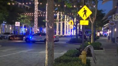 Tiroteo en centro comercial del Doral deja a dos muertos y varios heridos. (Captura de pantalla © WPLG Local 10-YouTube)