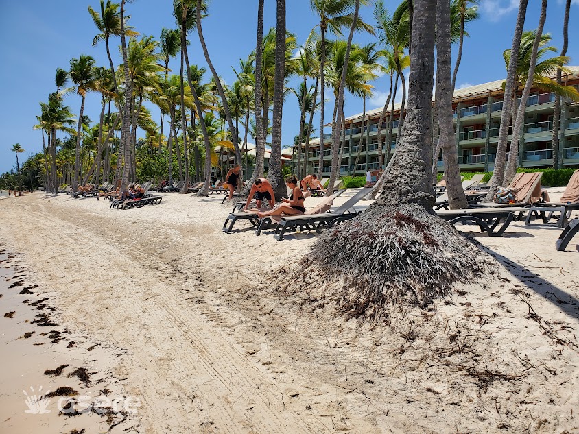 Vivo Mi Viaje ofrece vuelos a Cuba, renta de automóviles y paquetes turísticos a Punta Cana 1