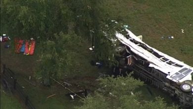 Accidente de tránsito deja ocho muertos y más de 40 heridos en Florida. (Captura de pantalla © WPLG Local 10-YouTube)