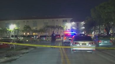 Encuentran los cuerpos de un adulto y un niño en un apartamento de Hialeah. (Captura de pantalla © Telemundo 51 Miami-YouTube)