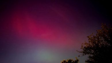 Imagen ilustrativa de una aurora boreal. (Captura de pantalla © EL PAÍS-YouTube)