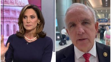 Legisladores cubanoamericanos en EEUU rechazan cambios de políticas hacia Cuba. (Captura de pantalla © Univision Miami-YouTube y Rep. Carlos A. Gimenez-Twitter)