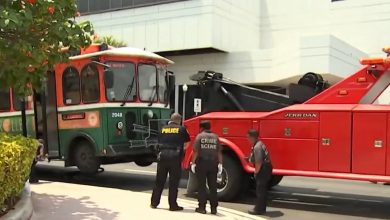 Trolley atropella a un hombre en La Pequeña Habana. (Captura de pantalla © NBC Miami)