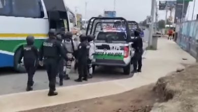 Migrantes cubanos detenidos en México tras operativo de las autoridades. (Captura de pantalla © MILENIO-YouTube)