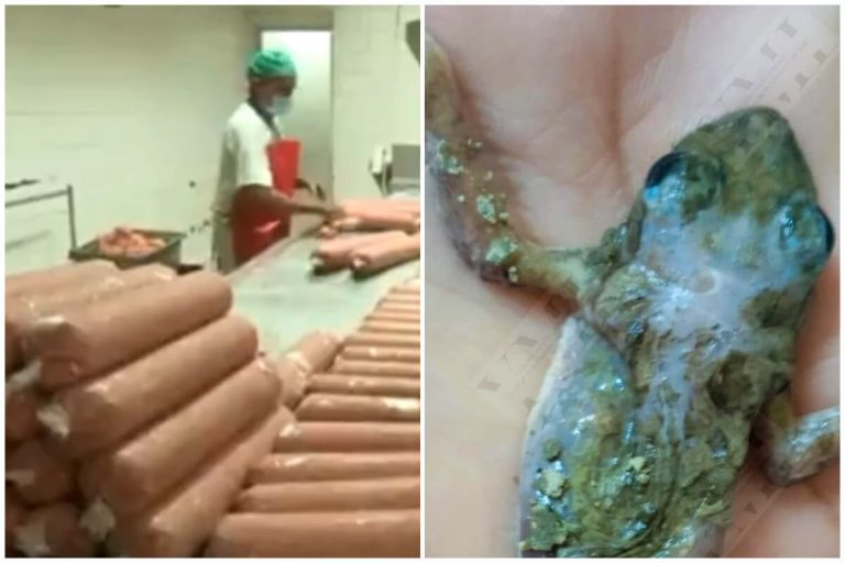 ¡Otra más de las bodegas! Encuentran rana muerta en el picadillo de Cuba
