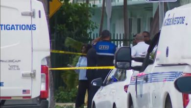 Hombre fue abatido por la policía en La Pequeña Habana. (Captura de pantalla © WPLG Local 10-YouTube)