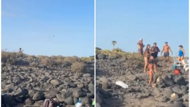 Riña ocurrida en una conocida playa de Canarias. (Captura de pantalla © Policia Local de Canarias Blog-YouTube)