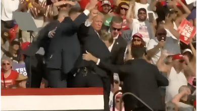 Trump levantándose después del atentado en su contra. (Captura de pantalla © Noticias Telemundo- YouTube)