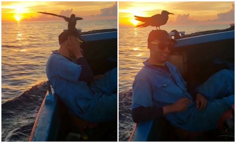 Balseros cubanos comparten video de su travesía en el mar