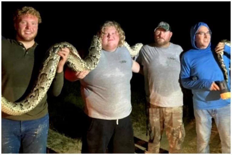 ¡Nuevo récord! Atrapan la segunda pitón birmana más grande de Florida
