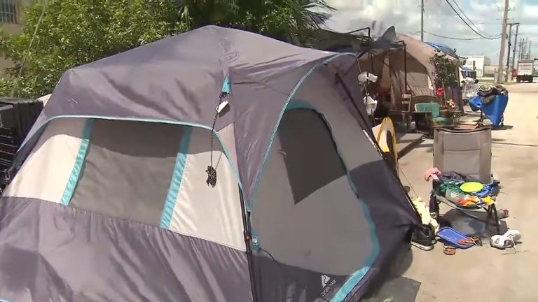 Régimen preocupado por personas sin hogar en los Estados Unidos