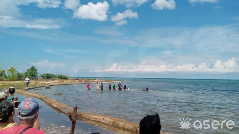 Artemisa: vecinos intentan ayudar a una ballena encallada en Playa Baracoa