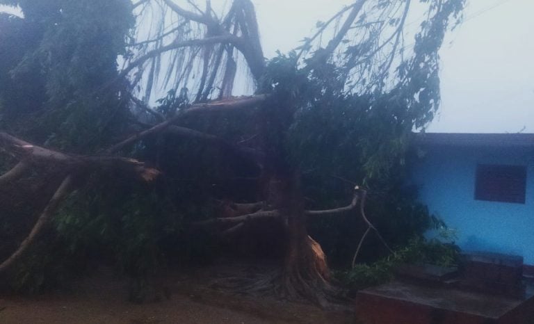 Tormenta tropical Oscar continúa sobre el oriente de Cuba
