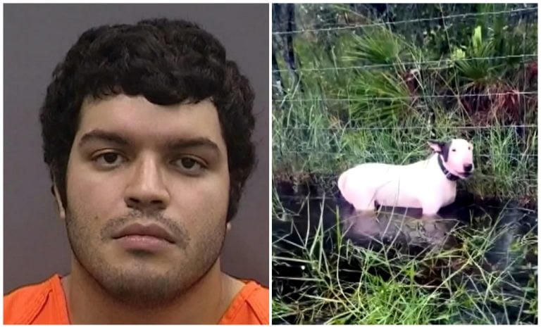 Detienen al dueño de Trooper, el perro rescatado durante el huracán Milton