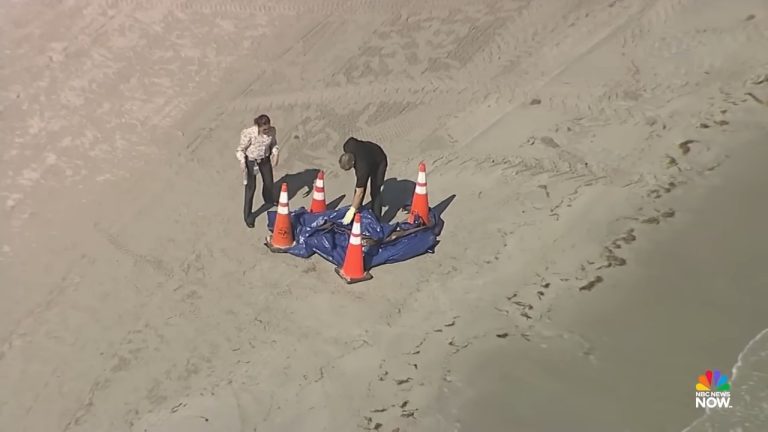 Autoridades identifican la cabeza encontrada en la playa de Key Biscayne