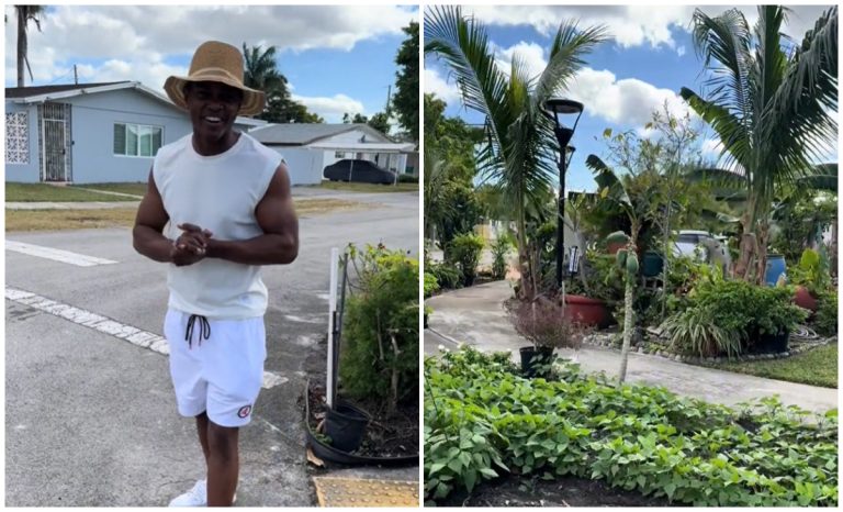 Joven cubano siembra pequeño huerto en una calle de Miami