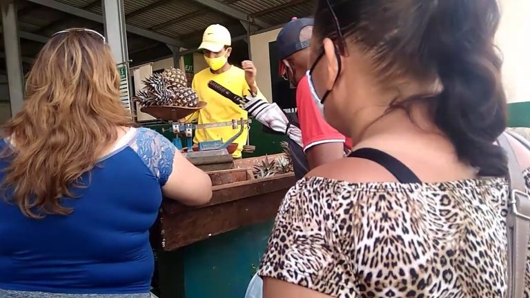 Elaborado robo en agromercado en La Habana: encerraron al custodio