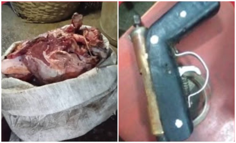 Incautan carne de res y armas caseras durante operativo en Santiago de Cuba