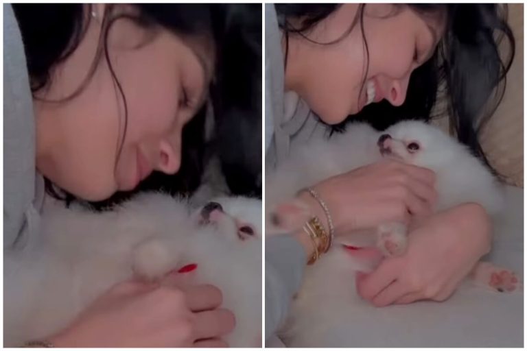 Daniela Reyes recibe a su perrito en Miami ¿Cuándo le llegará Yomil?