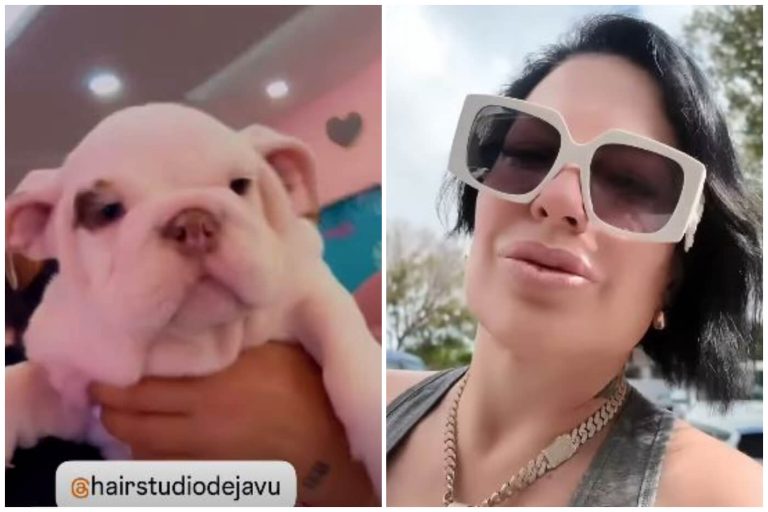 La Diosa celebra al nuevo miembro de su familia: ¡Conoce a su perrito Lili!