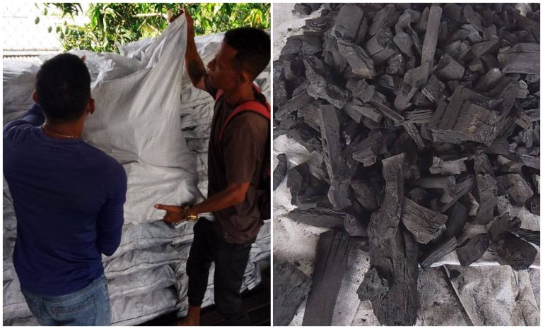 Productores de carbón sufren pérdidas millonarias por trabas del régimen