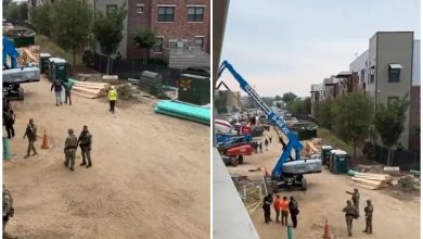 Las autoridades efectuaron los arrestos en el sitio de construcción. (Captura de pantalla © Thomas Kennedy-Twitter)