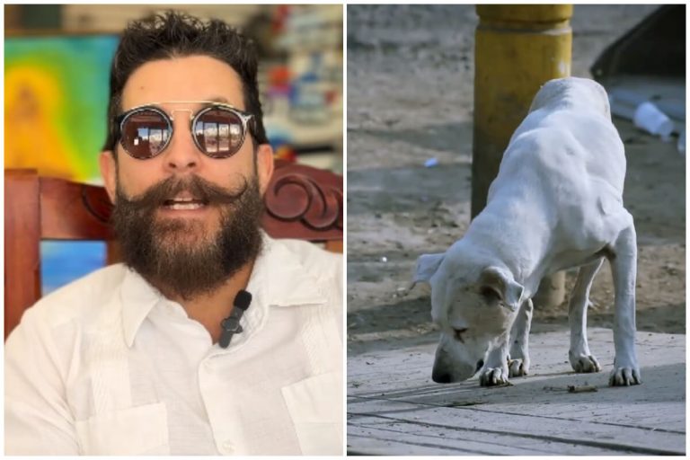 Ricardo Becerra convoca a protestar contra ley contra animales callejeros
