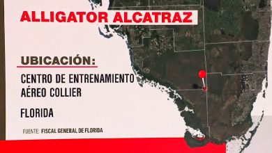 El centro se construiría en un área aislada, rodeada de caimanes y serpientes que dificultarían los escapes. (Captura de pantalla © Telemundo 51-YouTube)