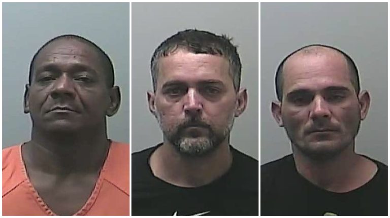 Tres cubanos sentenciados por intento de robo de cultivo de marihuana en Michigan