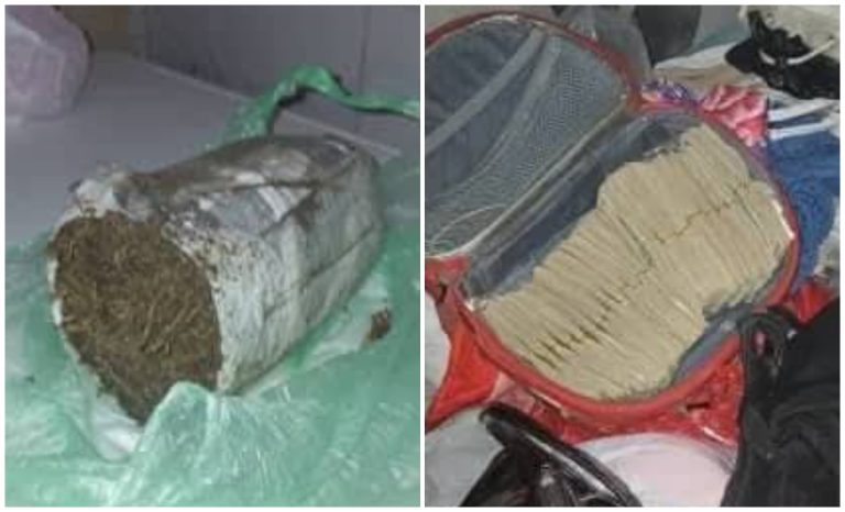 La Habana: desarticulan red de tráfico de drogas y decomisan dinero tras operativo