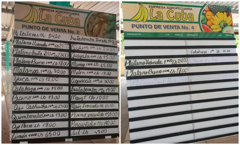 Termina el 26 de julio y la escasez regresa: denuncian desabasto en mercado El Hueco