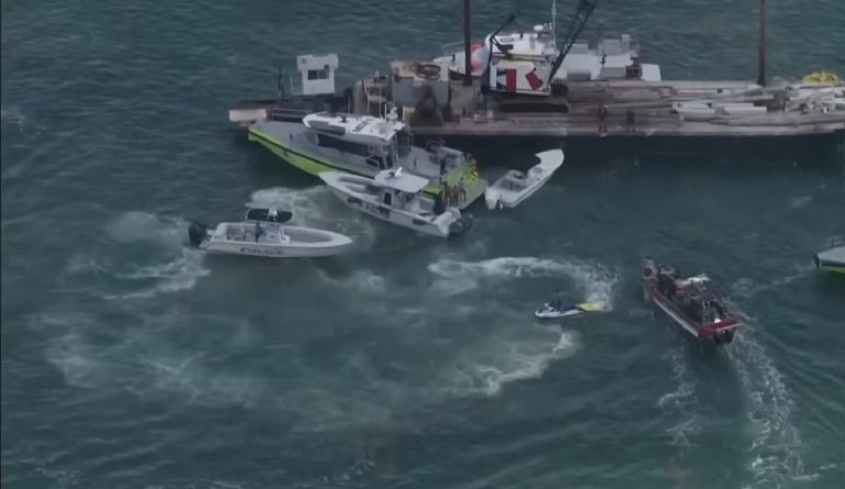 Florida: accidente de botes en Bahía Biscayne deja dos niñas fallecidas